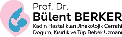 Prof. Dr. Bülent Berker